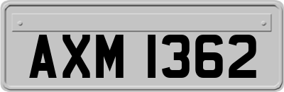 AXM1362