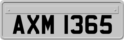 AXM1365