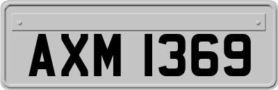 AXM1369