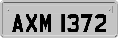 AXM1372