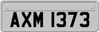 AXM1373