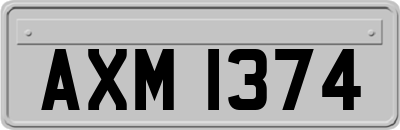 AXM1374