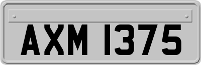 AXM1375