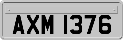 AXM1376