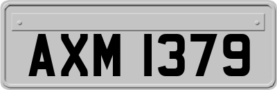 AXM1379