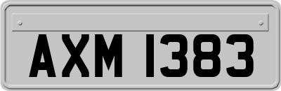 AXM1383