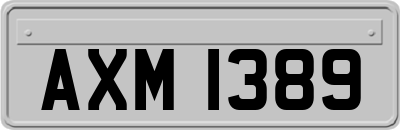 AXM1389