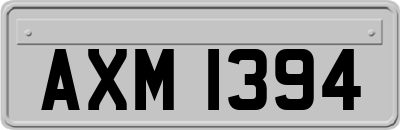 AXM1394