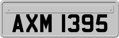 AXM1395