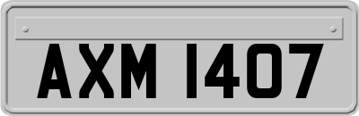 AXM1407