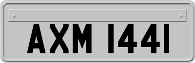 AXM1441