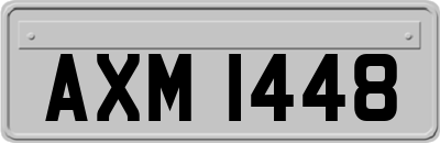 AXM1448