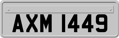 AXM1449