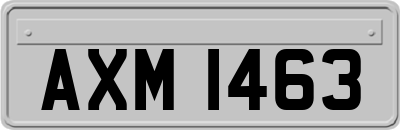 AXM1463