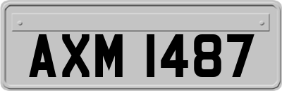 AXM1487