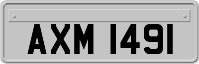 AXM1491
