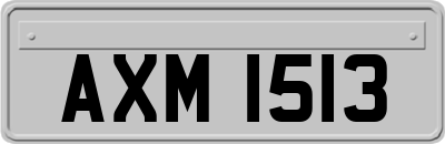 AXM1513