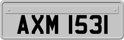 AXM1531