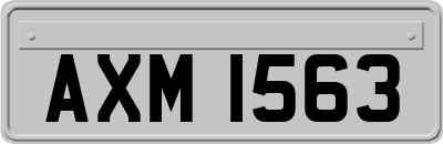 AXM1563