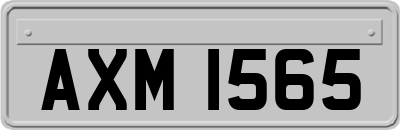 AXM1565