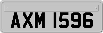 AXM1596