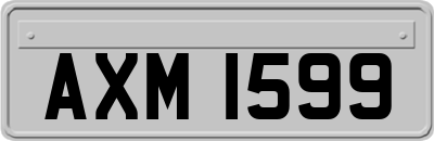 AXM1599