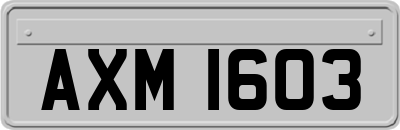 AXM1603