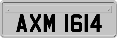 AXM1614