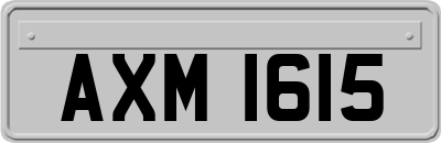 AXM1615