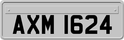 AXM1624
