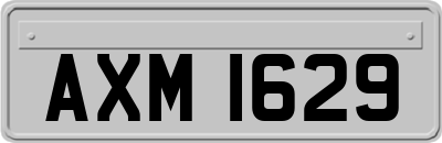 AXM1629