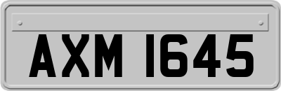 AXM1645