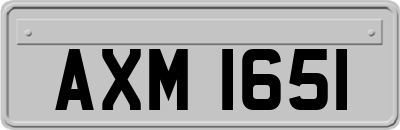 AXM1651