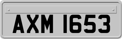 AXM1653