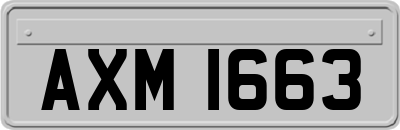 AXM1663