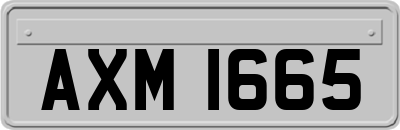 AXM1665