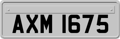 AXM1675