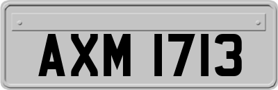 AXM1713
