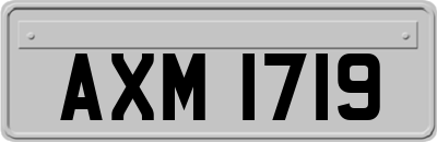 AXM1719