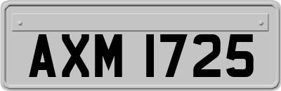 AXM1725