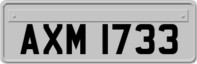 AXM1733