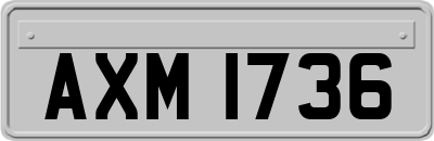 AXM1736