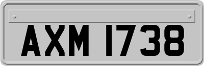 AXM1738