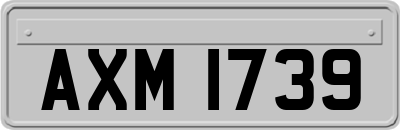 AXM1739