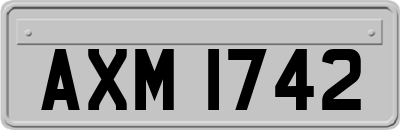 AXM1742