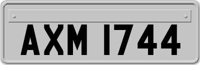 AXM1744