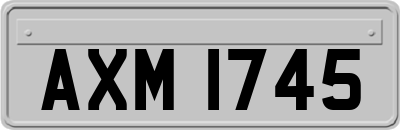 AXM1745