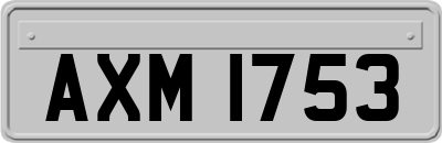 AXM1753