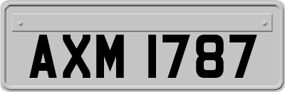 AXM1787