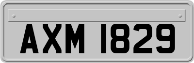 AXM1829